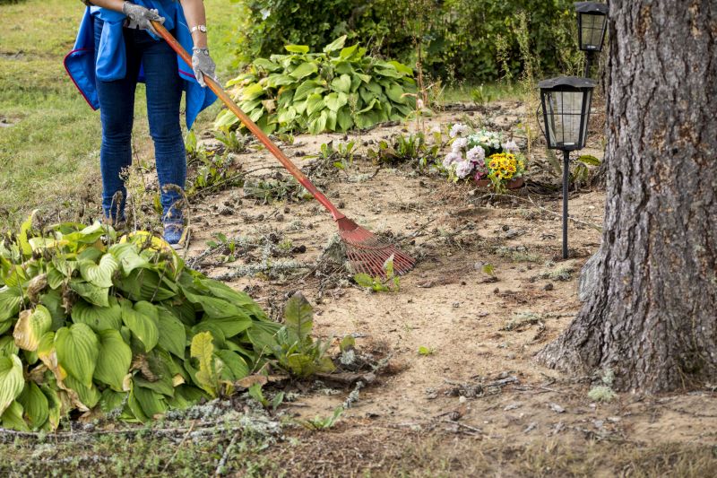 Vegetation Removal Process