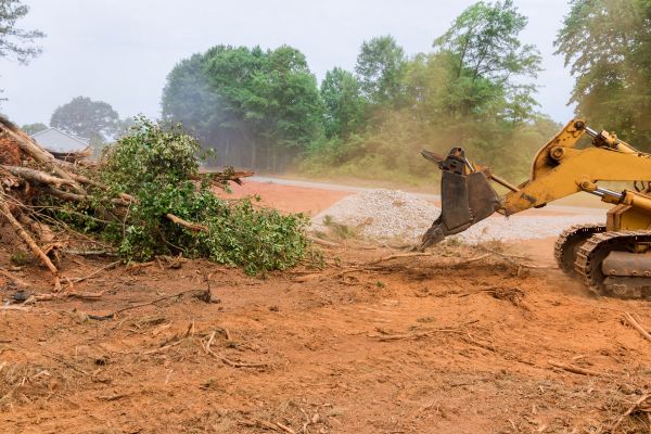 Ground Clearing in Ellensburg