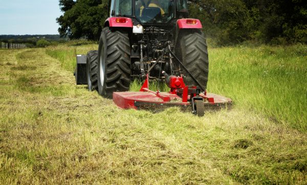 Brush Clearing Service in Ellensburg