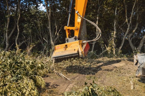 Brush Removal Service in Ellensburg