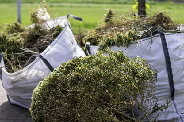 Cost of Bushes Clearing in Ellensburg