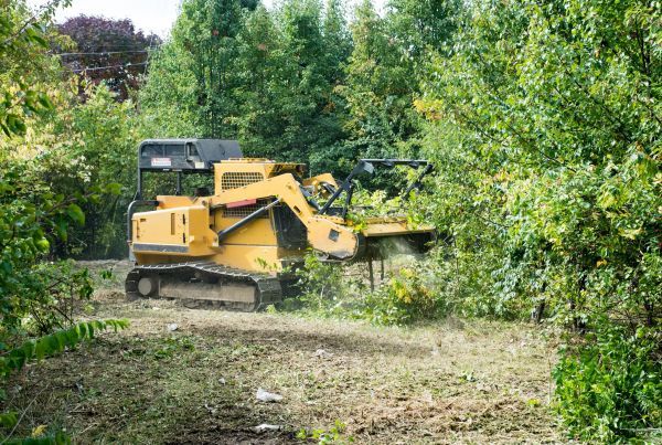 Cost of Pathway Clearing in Ellensburg