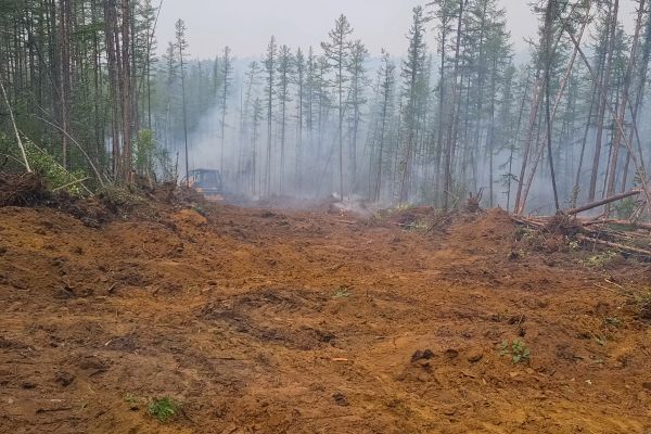 Cost of Hill Clearing in Ellensburg