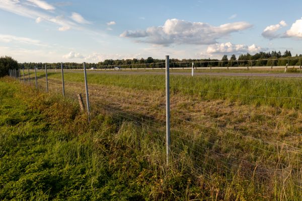 Cost of Property Line Clearing in Ellensburg