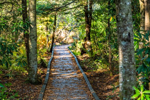 Cost of Trail Clearing in Ellensburg
