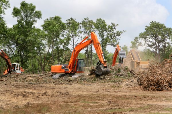 Cost of Commercial Lot Clearing in Ellensburg