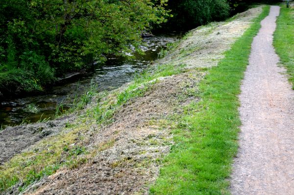Cost of Trail Cutting in Ellensburg
